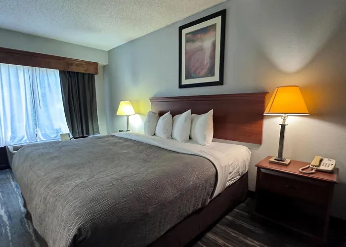 Quality Inn & Suites Memphis East